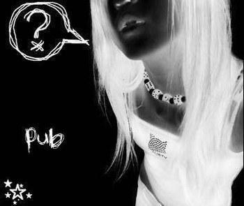 PUB p0ur d$ bl0g 